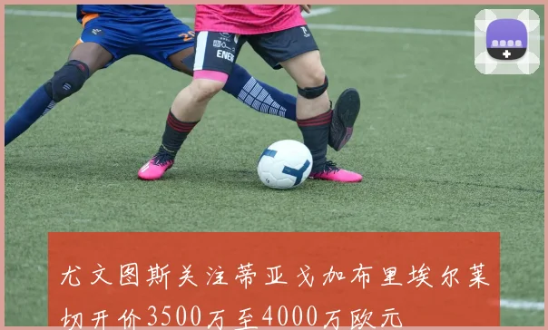 尤文图斯关注蒂亚戈加布里埃尔莱切开价3500万至4000万欧元